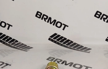 Аварийный выключатель давления воздуха Shanmon 388H