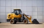 Фронтальный погрузчик Worker ZL20 (2026)